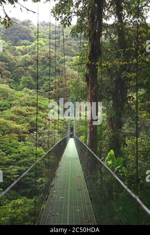 Skywalk mit Hängebrücke in der Baldachin-Schicht des Monteverde Cloud Forest Reserve, Costa Rica, Puntarenas, Monteverde Stockfoto