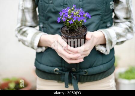 Junge Frau mit einem Blumentopf mit blauen Blumen Stockfoto