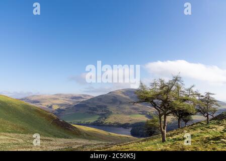 Bergwanderung in Pentland Hills, Frühling. Schottland Stockfoto