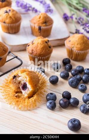 Blaubeeren Muffins oder Cupcakes mit frischen Beeren und Lavendel auf Holztisch. Sommer Farben und Aromen Stockfoto