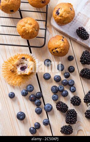 Blaubeeren Muffins oder Cupcakes mit frischen Beeren und Lavendel auf Holztisch. Sommer Farben und Aromen Stockfoto