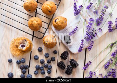 Blaubeeren Muffins oder Cupcakes mit frischen Beeren und Lavendel auf Holztisch. Sommer Farben und Aromen Stockfoto