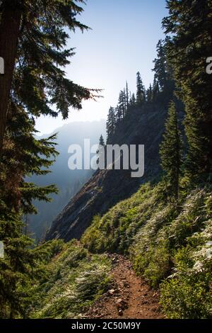 An einem sonnigen Tag wird ein Bergpfad beleuchtet Washington Stockfoto