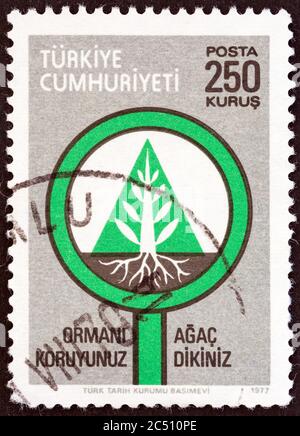 TÜRKEI - UM 1977: Eine in der Türkei gedruckte Marke aus der 'Forest Conservation' Ausgabe zeigt Baum und Wurzeln, um 1977. Stockfoto