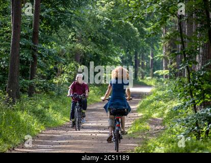 Prerow, Deutschland. Juni 2020. Den Weststrand auf der Ostseeinsel Fischland-Darß-Zingst erreichen Urlauber nur mit dem Fahrrad während einer Fahrt durch den Darßwald. Der Weststrand liegt im Nationalpark Vorpommersche Boddenlandschaft. Der Naturstrand ist nur zu Fuß, mit dem Fahrrad oder mit der Pferdekutsche auf Waldwegen erreichbar. Quelle: Jens Büttner/dpa-Zentralbild/ZB/dpa/Alamy Live News Stockfoto