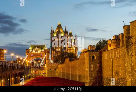 Tower Bridge vom Tower of London bei Nacht in England, Großbritannien, Großbritannien Stockfoto