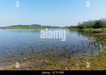 In der Nähe des Wasserrandes am Carsington Reservoir in Derbyshire an einem hellen klaren Frühlingstag Stockfoto