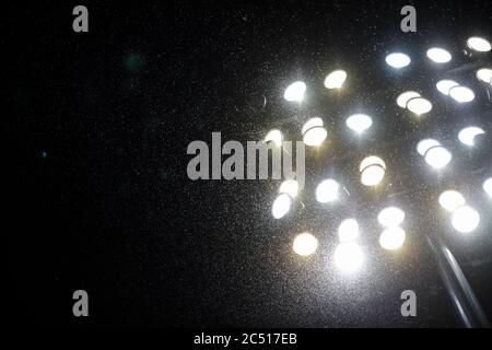 Ein Schwarm von Moskitos und anderen Nachtinsekten fliegen im Licht eines Stadionreflektors in der Nähe eines großen Flusses Stockfoto