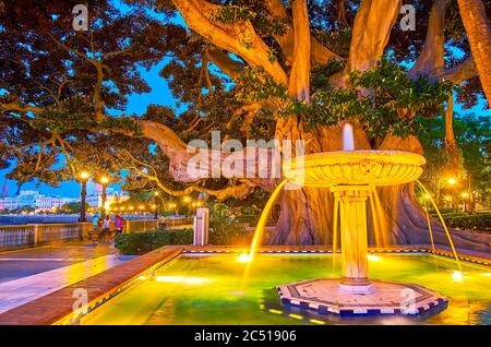 Der Vintage-Brunnen unter dem alten Ficusbaum des Alameda Apodaca Gartens, Cadiz, Spanien Stockfoto