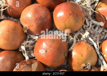 Granatäpfel zum Verkauf an einem Marktplatz in Indien. Stockfoto