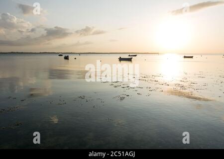 Ruhige Bucht an der Ostsee in schönem Bronzelicht mit ein paar Ruderbooten im Hintergrund Stockfoto