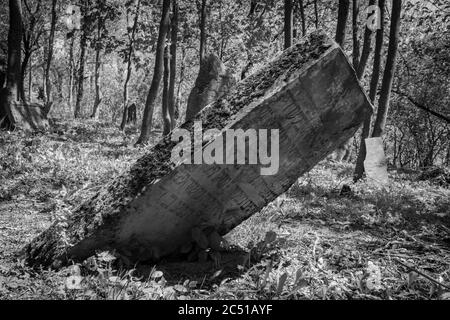 Alte zerstörte jüdischen Friedhof aus dem 18. Jahrhundert in Wola Michowa. Bieszczady Berge, Polen, Europa Stockfoto