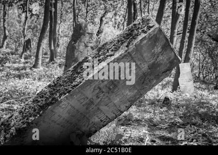 Alte zerstörte jüdischen Friedhof aus dem 18. Jahrhundert in Wola Michowa. Bieszczady Berge, Polen, Europa Stockfoto