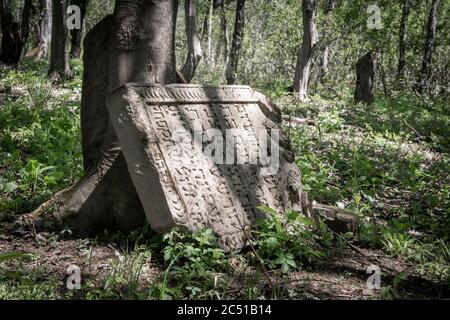 Alte zerstörte jüdischen Friedhof aus dem 18. Jahrhundert in Wola Michowa. Bieszczady Berge, Polen, Europa Stockfoto