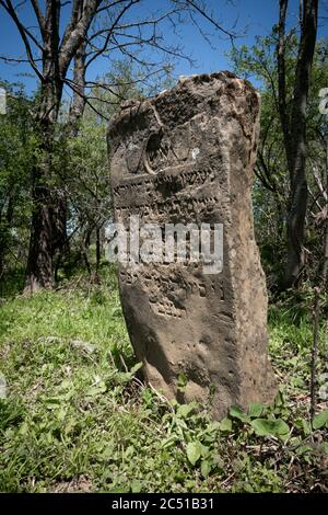 Alte zerstörte jüdischen Friedhof aus dem 18. Jahrhundert in Wola Michowa. Bieszczady Berge, Polen, Europa Stockfoto