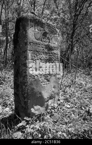 Alte zerstörte jüdischen Friedhof aus dem 18. Jahrhundert in Wola Michowa. Bieszczady Berge, Polen, Europa Stockfoto