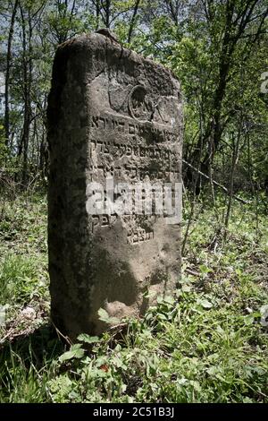 Alte zerstörte jüdischen Friedhof aus dem 18. Jahrhundert in Wola Michowa. Bieszczady Berge, Polen, Europa Stockfoto