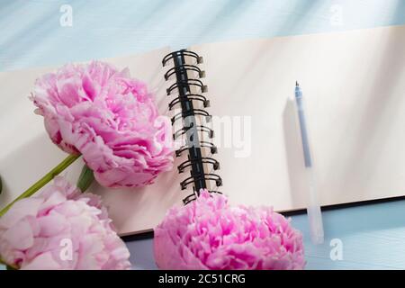 Drei frisch blühende rosa Pfingstrosen liegen auf einem weißen offenen Notizbuch. Platz für Text. Liste „To Do“. Bildungskonzept Stockfoto