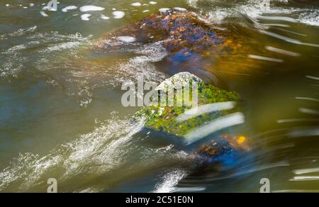 Abstrakter Strom von schlammigem Wasser, der über grünen und braunen Felsbrocken im wilden Flussbett fließt. Nahaufnahme des Tauwetters. Verspielte Lichtreflexe, nasse Steine. Stockfoto