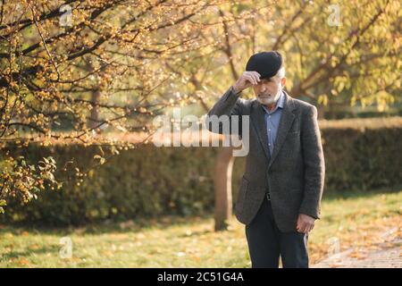 Gut aussehender älterer Mann auf einer grauen Jacke und schwarzen Hut. Alte grauhaarige bärtiger Mann Spaziergang im Herbst Park. Gelber Hintergrund Stockfoto