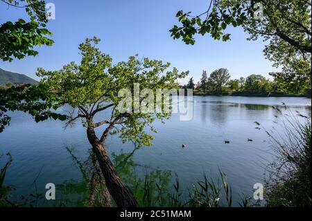 Landseite von Benevento in Italien Stockfoto