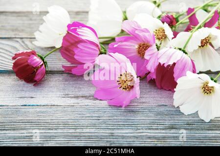 Blumen Stil Bild für Design, schöne Kosmos Blumen auf grauem Holzhintergrund Stockfoto