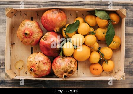 Eine Holzkiste mit Mandarinen, Zitronen und Granatäpfeln. Früchte im Herbstgarten gesammelt. Stockfoto