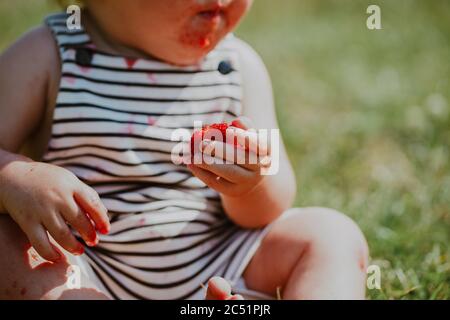 Baby Boy Erdbeere Kommissionierung auf einer Farm in Großbritannien Stockfoto