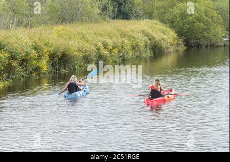 Zwei Kanufahrerinnen/Kajakfahrerinnen paddeln auf dem Fluss Fowey in Lostwihiel in Cornwall. In Richtung Downstream. Stockfoto