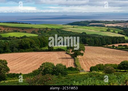 Blick auf den Rodhuish Common bei Withycombe im Exmoor National Park, Somerset, England, UK Blick Richtung Norden nach Osten in Richtung Bristol Channel Stockfoto