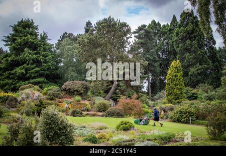 Der leitende Gartenbauer Graeme McGillivray bei der Arbeit auf dem Gelände des Royal Botanic Garden Edinburgh vor der Wiedereröffnung der Gärten am 1. Juli, als Schottland in die zweite Phase seines vierstufigen Plans übergeht, um die Sperre zu lockern. Stockfoto