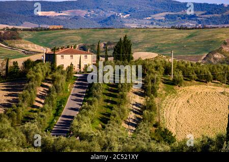 Landschaft der Crete Senesi, einem Getreideanbaugebiet mit karstigen Abschnitten. Hier im herbstlichen Abendlicht Stockfoto