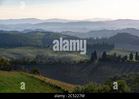 Toskana Landschaft im Abendnebel Stockfoto