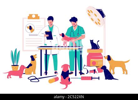 Veterinärklinik Dienstleistungen, Vektor-Flat-Stil Design Illustration Stock Vektor