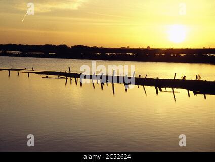 Sonnenuntergang auf Sumpfland. Isla Cristina, Huelva Provinz, Andalusien, Spanien. Stockfoto