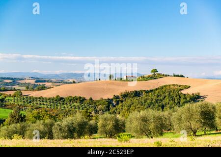 Landschaft der Crete Senesi, einem Getreideanbaugebiet mit karstigen Abschnitten. Hier im herbstlichen Abendlicht Stockfoto