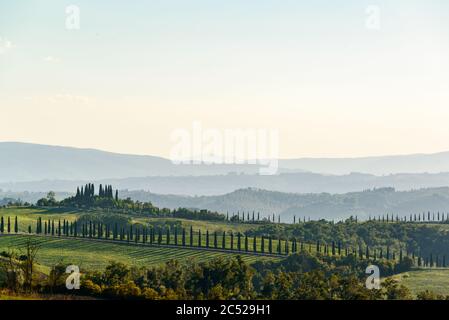 Landschaft der Crete Senesi, einem Getreideanbaugebiet mit karstigen Abschnitten. Hier im herbstlichen Abendlicht Stockfoto