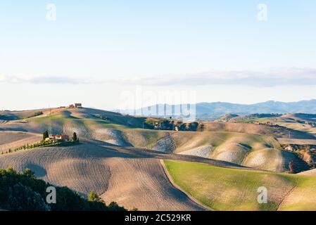 Landschaft der Crete Senesi, einem Getreideanbaugebiet mit karstigen Abschnitten. Hier im herbstlichen Abendlicht Stockfoto