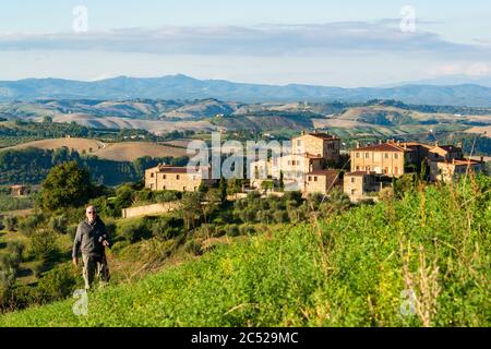 Wanderer in der Crete Senesi, einem Getreideanbaugebiet mit karstigen Abschnitten. Here is the Herbstuped Abendlicht Stockfoto