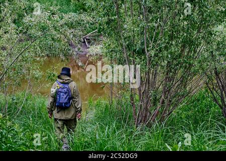 Aktiver Mann in Moskitoanzug mit Rucksack beim Wandern in der Nähe der Taiga Fluss in einem sibirischen Wald, Russland. Alleinreisen, Lifestyle, inländisches Tourismuskonzept Stockfoto