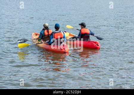 Touristen Kajakfahren auf dem Potomac River mit bunten Kajaks an einem sonnigen Sommertag in der Nähe von Washington, D.C. und Virginia. Stockfoto