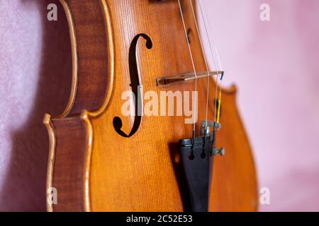 Vertikale Nahaufnahme von Violinloch, feinen Mechaniken, Saiten und Steg in Schwarz und Weiß. Stockfoto