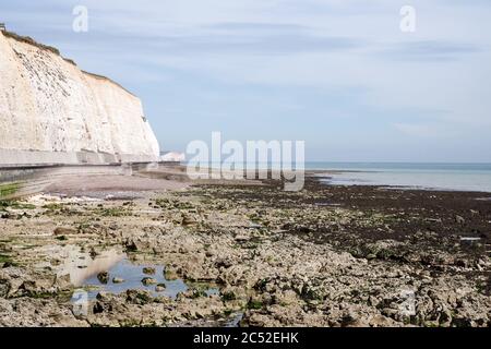 Der Undercliff Walk, der Teil des Seahaven Coastal Trail in Sussex, Großbritannien, ist Stockfoto