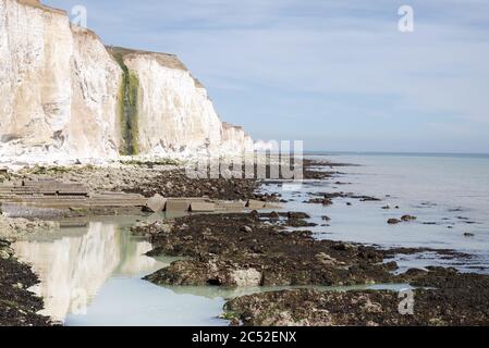 Der Undercliff Walk, der Teil des Seahaven Coastal Trail in Sussex, Großbritannien, ist Stockfoto