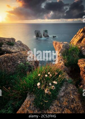 Urro del Manzano Sea Stacks, Costa Quebrada, Kantabrien, Spanien Stockfoto