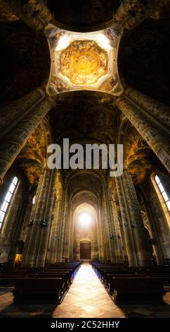 Kathedrale von Asti, Italien. Blick auf das Hauptschiff, beleuchtet durch das Rosettenfenster bei Sonnenuntergang Stockfoto