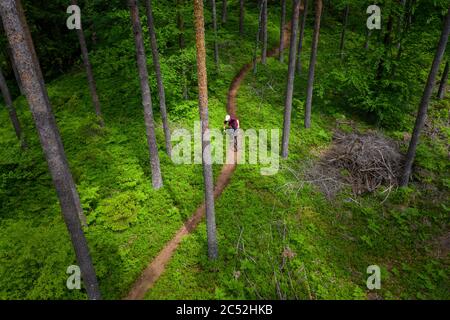 Mann Mountainbiken durch den Wald, Klagenfurt, Kärnten, Österreich Stockfoto