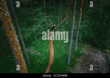 Mann Mountainbiken durch den Wald, Klagenfurt, Kärnten, Österreich Stockfoto