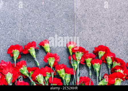 Rote Nelken auf einer Marmorplatte. Symbol der Trauer. Blumen legen. Draufsicht, Kopierbereich. Stockfoto
