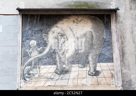 Sgraffito - Rembrandts Elefant in Trzebiatów, Woiwodschaft Westpommern, Polen Stockfoto